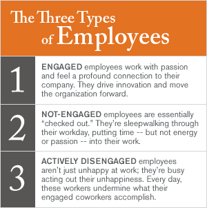 Three Types of Employees